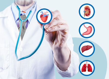 kidney